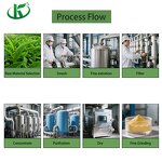 Oregano Oil Capsules Manufacturer - Non-GMO Wild with Black Seed Oil