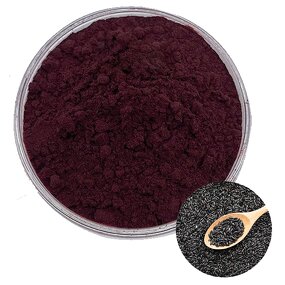 Black Rice Extract Powder Manufacturer - 25% Anthocyanin