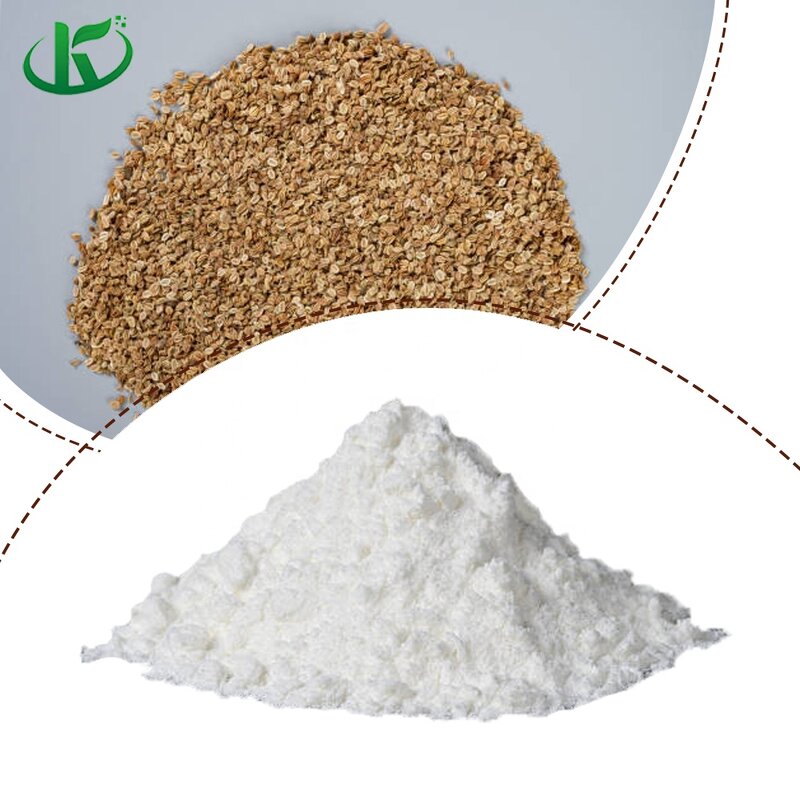 Cnidium Extract Powder Manufacturer - Osthole 98% Fruit