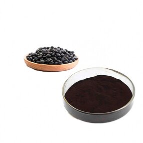 Black Bean Extract Manufacturer - Organic with High Anthocyanin