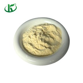Ginseng Peptide Powder Manufacturer - Panax Supplement