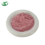 Vitamin C Powder Manufacturer - Acerola Cherry Extract VC17%-25%