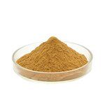 Yerba Mate Tea Powder Manufacturer - Herbal Extract Instant