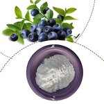 Pterostilbene Powder Manufacturer - 99% Extract