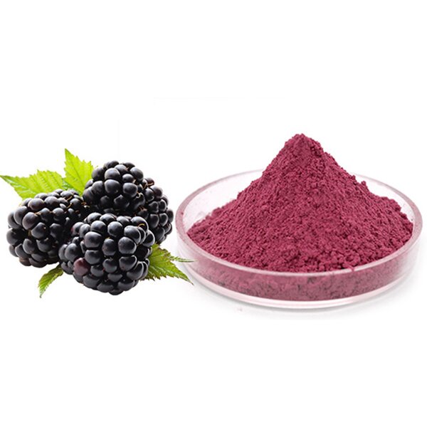 Blackberry Extract Manufacturer - Cold Processed 30% Anthocyanins