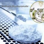 Sodium Hyaluronate Powder Manufacturer - High & Low Molecular Weight