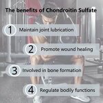 Chondroitin Sulfate Powder Manufacturer - 85%-95% Marine