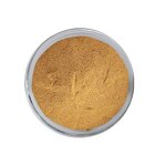 Yerba Mate Extract Powder Manufacturer - Instant Tea