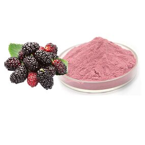 Mulberry Powder Manufacturer - Juice Fruit Organic Whitening