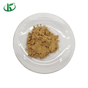 Lion's Mane Powder Manufacturer - Hericium Erinaceus Extract
