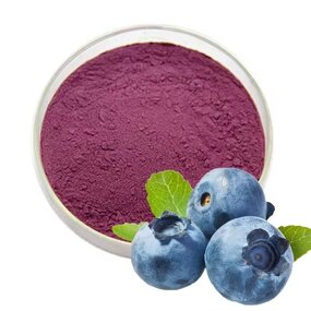Blueberry Powder Manufacturer - 100% Pure Wild Fruit