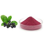 Chokeberry Extract Manufacturer - Cold-Pressed 35% Anthocyanins