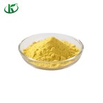 Pumpkin Powder Manufacturer - 100% Pure Organic Vegetable