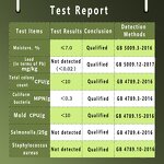 Grape Seed Extract Powder Manufacturer - 95% OPC Anthocyanin