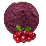 Bilberry Extract Powder Manufacturer - Organic Anthocyanins