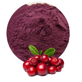 Bilberry Extract Powder Manufacturer - Organic Anthocyanins