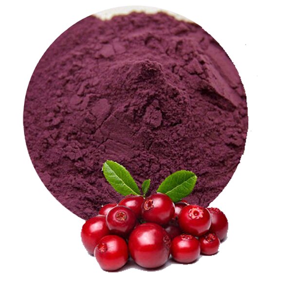 Bilberry Extract Powder Manufacturer - Organic Anthocyanins