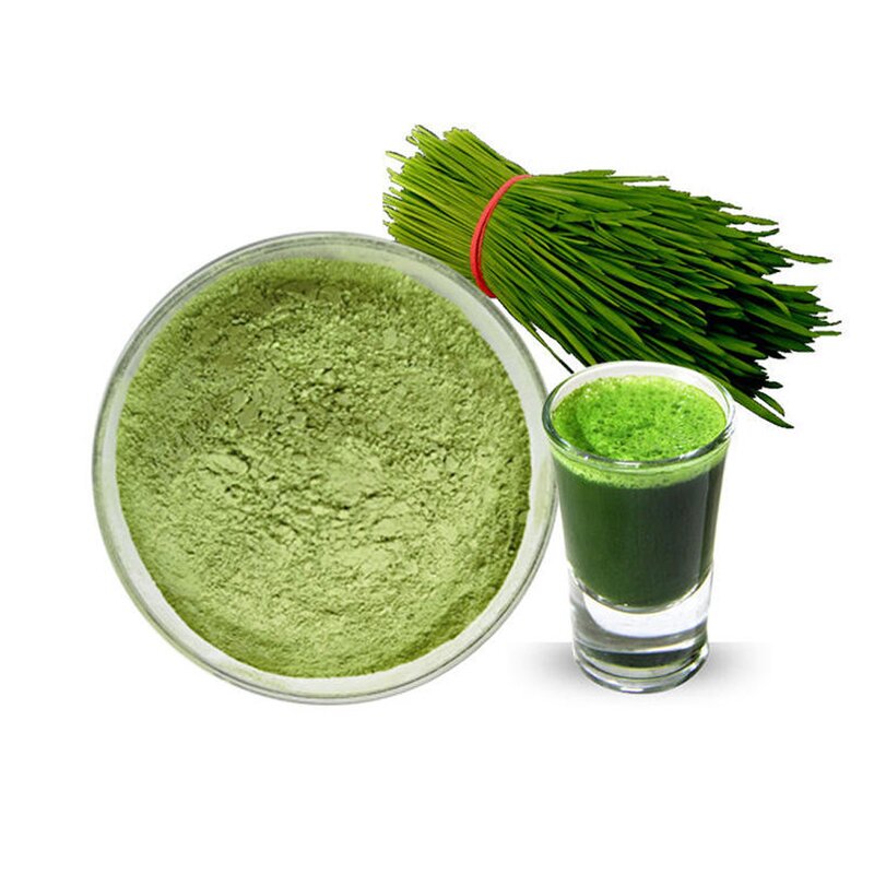 Wheat Grass Powder Manufacturer - Organic Juice Herbal Supplement