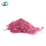 Blackcurrant Powder Manufacturer - Freeze Dried Juice