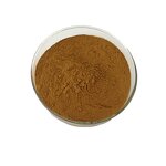 Gypenosides Powder Manufacturer - 98% Gynostemma Pentaphyllum Extract