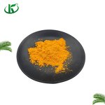 Riboflavin Powder Manufacturer - Vitamin B2 CAS 83-88-5