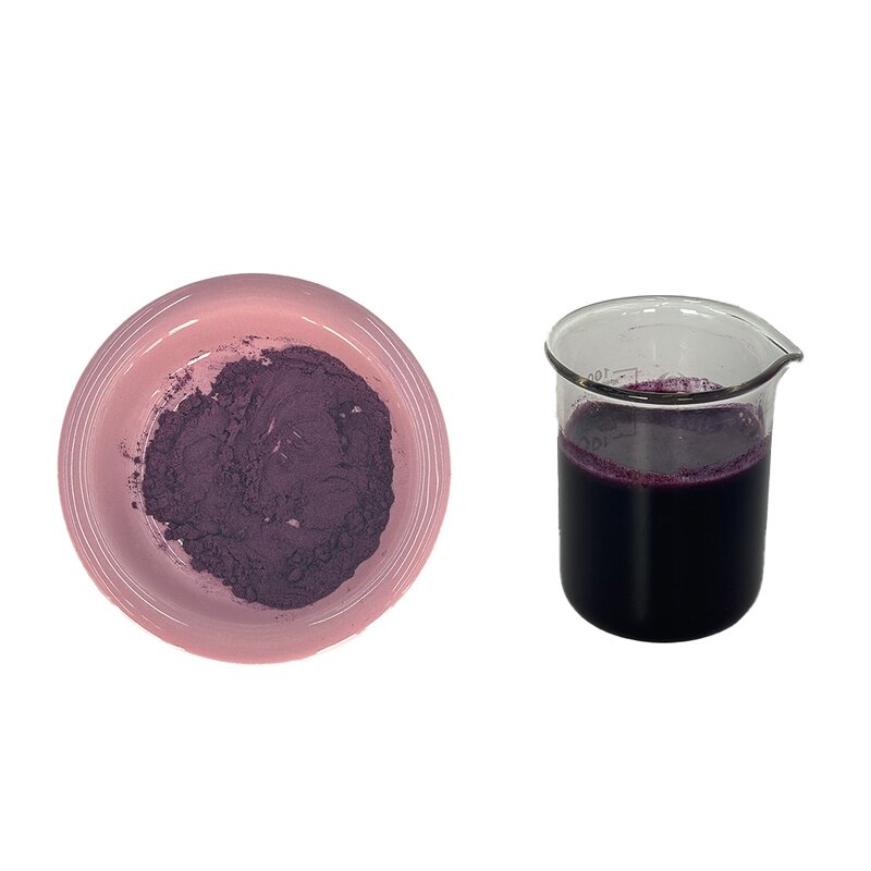 Black Currant Extract Manufacturer - 25% Anthocyanidins