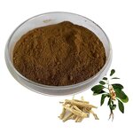 Ashwagandha Extract Powder Manufacturer - Withanolides 10%