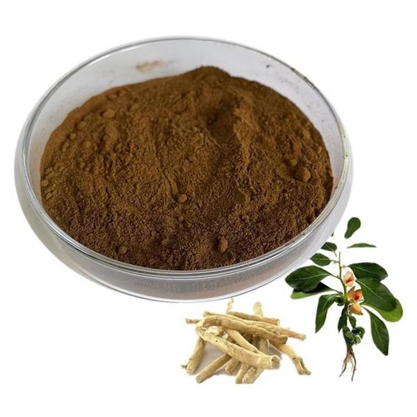 Ashwagandha Extract Powder Manufacturer - Withanolides 10%