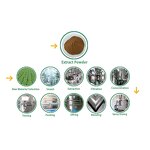 Acetyl Octapeptide-3 Powder Manufacturer - Snap 8 CAS 868844-74-0