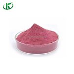 Blackcurrant Powder Manufacturer - Freeze Dried Juice