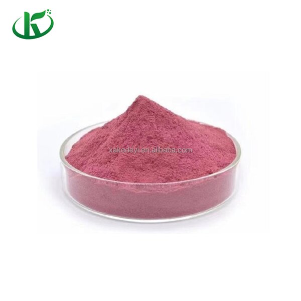 Blackcurrant Powder Manufacturer - Freeze Dried Juice