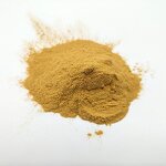 Tongkat Ali Powder Manufacturer - Root Extract & Capsules