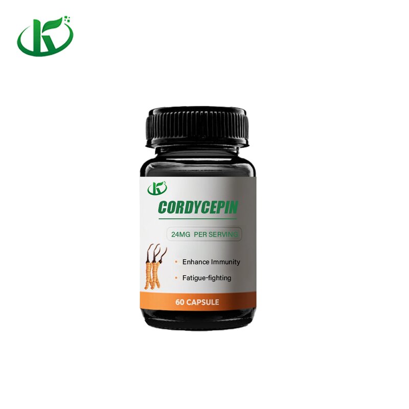 Cordyceps Capsules Manufacturer - Cordycepin Extract Powder