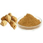 Maca Root Extract Powder Manufacturer - 10:1 Organic 1% Macaamide