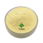 Ginger Powder - Manufacturer - Pure Food Grade Additive Bulk