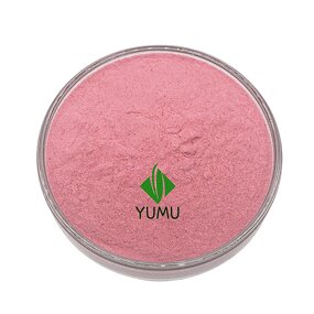 Guava Powder - Manufacturer - Pure Food Grade Additive Bulk