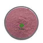 Acai Berry Powder - Manufacturer - Pure Food Grade Additive Bulk