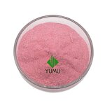Rosehip Powder - Manufacturer - Pure Food Grade Additive Bulk