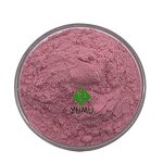 Acai Berry Powder - Manufacturer - Pure Food Grade Additive Bulk