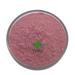 Acai Berry Powder - Manufacturer - Pure Food Grade Additive Bulk