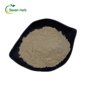 Fava Bean Protein Powder Manufacturer - Broad Bean Isolate Water Soluble