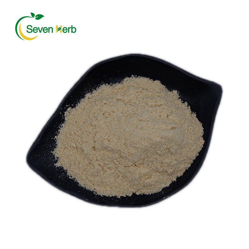 Fava Bean Protein Powder Manufacturer - Broad Bean Isolate Water Soluble