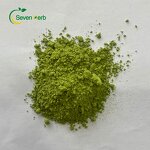 Moringa Leaf Powder Manufacturer - 100% Pure Oleifera for Diet