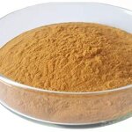Hawthorn Powder Manufacturer - Fruit Berry Extract 10%-80% Flavones