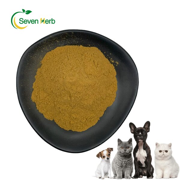 Yucca Extract Powder Manufacturer - 60% Saponins Feed Grade