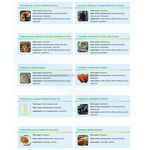 Phellinus Linteus Extract Powder Manufacturer - 10:1 20:1 Organic