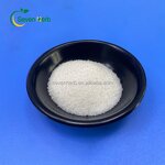 Phytosterol Powder Manufacturer - 98% Pine Plant Sterol Granular