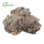 Turkey Tail Mushroom Manufacturer - Dried Coriolus Versicolor