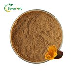 Phellinus Linteus Extract Powder Manufacturer - 10:1 20:1 Organic