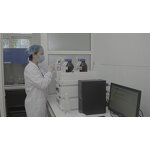 Beet Root Gummies Manufacturer - Sugar Free Organic Iron OEM